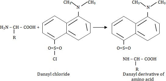 Dansyl chloride reaction